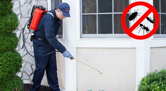 Kemeraltı Karınca İlaçlama böcek ilaçlama ve haşere kontrolü — ilaclama-tr.com